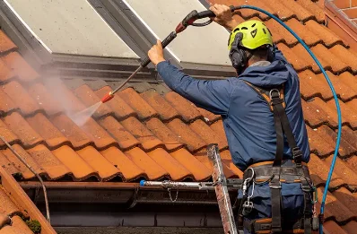 Démoussage et hydrofuge de toiture à Vincelottes